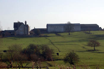 Hill Farm January 2008